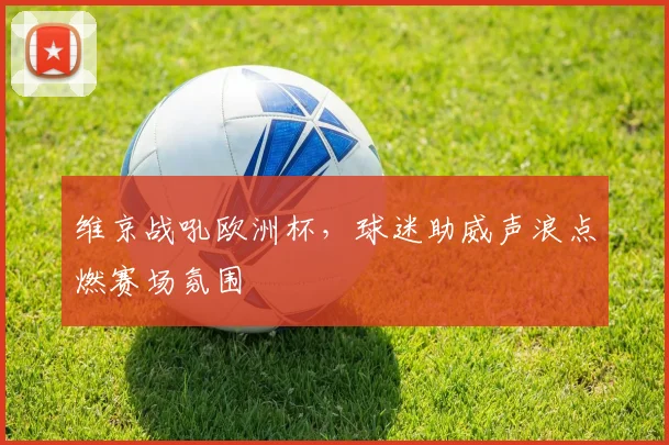 维京战吼欧洲杯，球迷助威声浪点燃赛场氛围